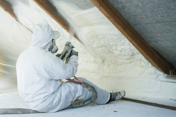 Best Attic Insulation Installation in USA